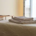 شقة 