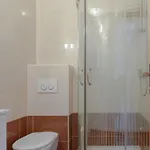 شقة 